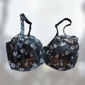 Prima Donna Ray Of Light 34E